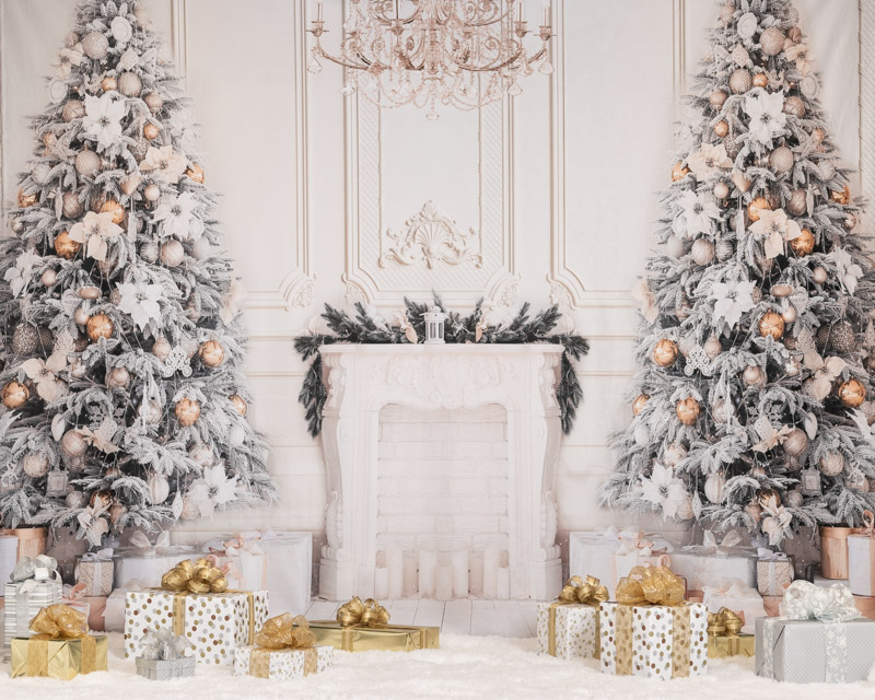 White Fireplace Image